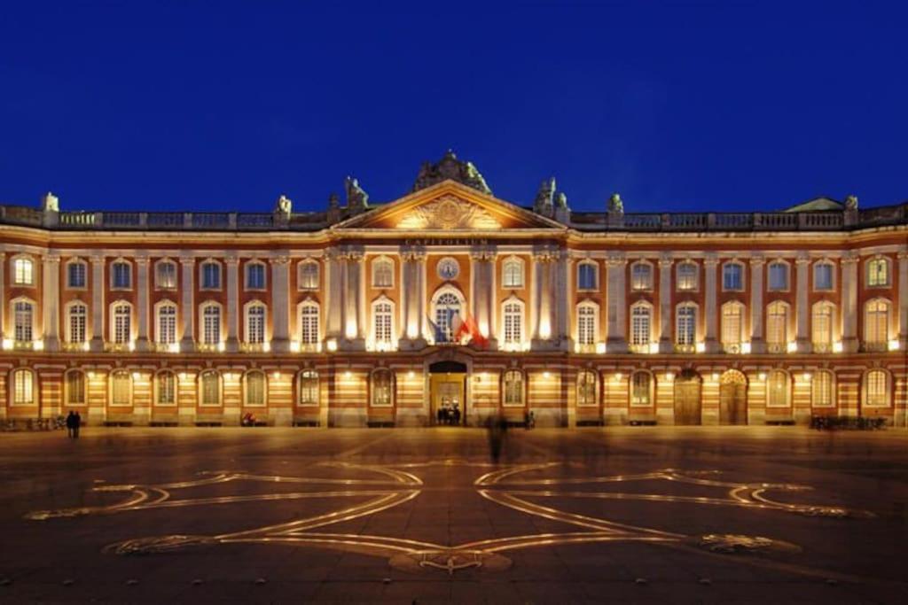 Apartmán Au Gout Du Jour Climatise Toulouse Exteriér fotografie