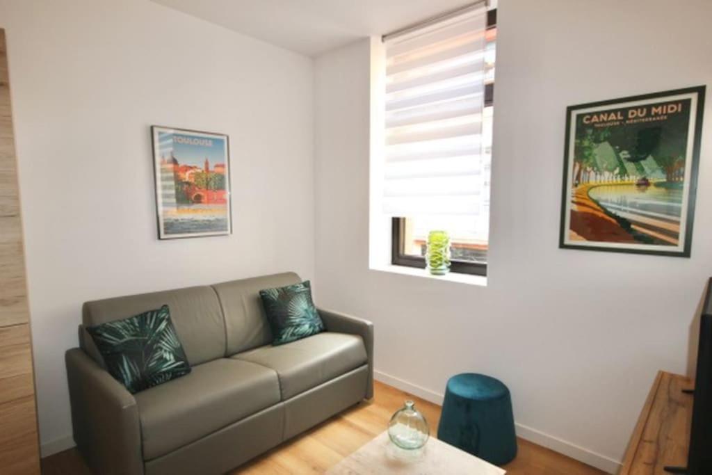 Apartmán Au Gout Du Jour Climatise Toulouse Exteriér fotografie
